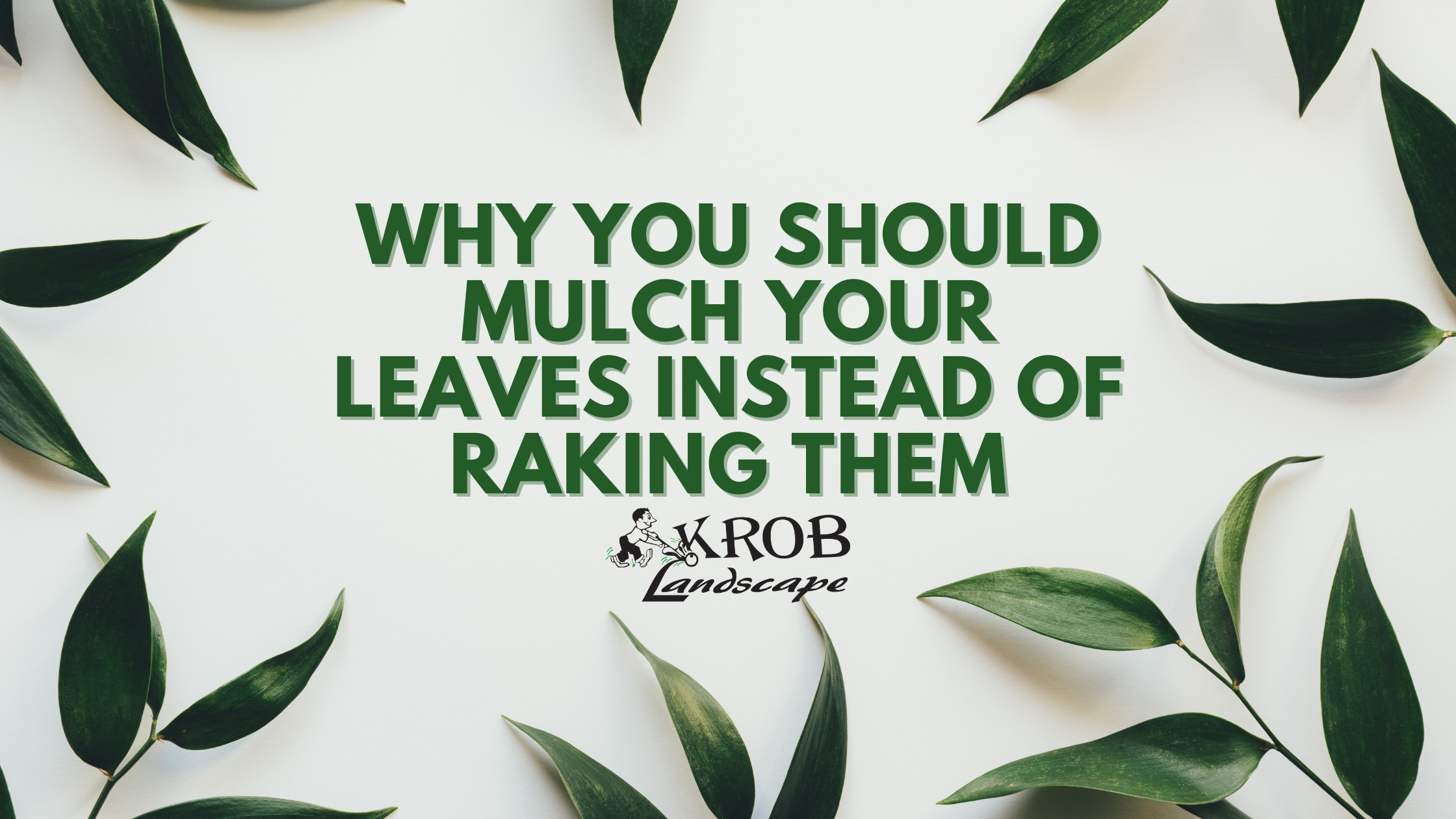 Why You Should Mulch Your Leaves Instead of Raking Them.png